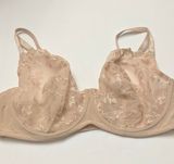 Liz Claiborne Bra Photo 0