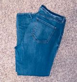 Refuge Plus Size Skinny Jeans Photo 0