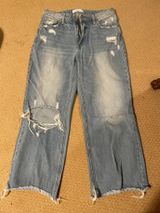 Vervet Blue Jeans Photo 0