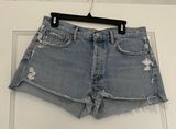 AGOLDE Parker Distressed Raw Hem Button Fly Vintage Shorts Size 29 NWOT Photo 0