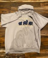 Brandy Melville Hoodie Photo 0