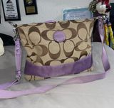 Lilac  Crossbody Bag Photo 0