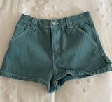 PacSun High Waisted Carpenter Shorts Photo 0