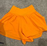 Arie Offline Shorts Photo 0