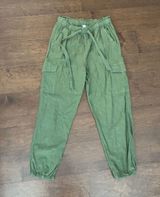 Aerie Olive Green Pants Photo 0
