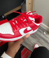 Nike Jordan Brand new White and red Dunks Photo 0