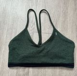 Forest Green Sports Bra Photo 0