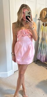 Pink Rose Mini Dress Photo 0
