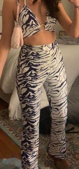 The Great Zebra Set! Photo 0