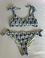 Roller Rabbit  Photo 0