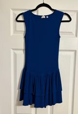 Blue Aritzia Dress Wilfred Photo 0