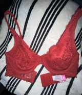 No Boundaries Red Lace Bra Photo 0