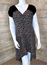 Cooperative  Retro Sheer Dress Photo 0