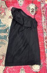 J.Crew NWT  Dress Photo 0