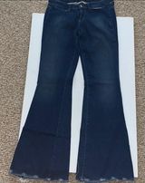 Genetic Denim Flare Jeans Photo 0