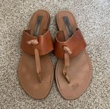 Steve Madden sandals 8.5 Photo 0