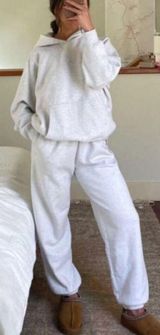 ARITZIA TNA SweatFleece Cozy Fleece Mega Fit Sweatpants in Heather Grey Size 2XS Photo 0