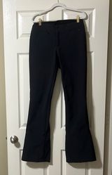 North Face Windwall Ski Pants Photo 0