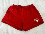 lifeguard shorts