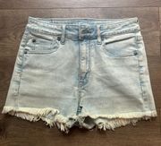 Outfitters Jean Shorts