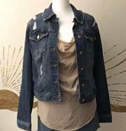 Celebrity Pink Stretch Denim Distressed Jacket