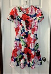 Milly by Design Nation Multicolor Scuba Knit Fit & Flare Dress size 6