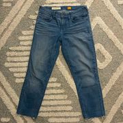 Anthropologie Stet Raw Hem Jeans Size 28