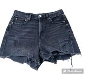 American Eagle  boyfriend shorts