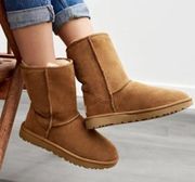 UGG  Classic II Genuine Shearling Lined Short Boot in Chestnut Suede Size US 12