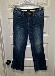 Anthropologie Pilcro and the Letterpress Denim Stet Straight Leg Jeans 27