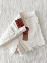 NWT High Waisted Mom  Denim Shorts