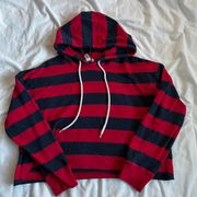 Arizona Striped Cropped Hoodie