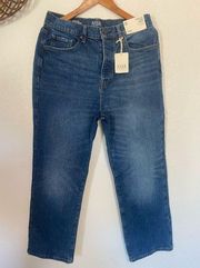 a.n.a new approach highest rise vintage straight jeans 10 NWT