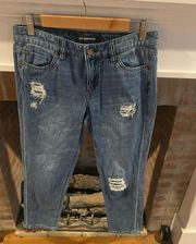 Liverpool The Crop Boyfriend Jeans size 4/27 Perfect Condition like new