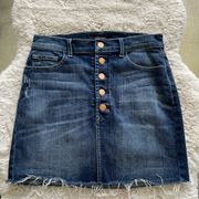 J Brand Rosalie Denim skirt 26