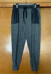 Lou & Grey Form Space Dye Parachute Joggers Size Medium