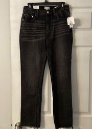 Wonderly Ashgate Wash Denim Pants size 10 brand new with tags inseam 28