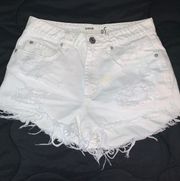 Festival Shorts