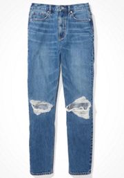 American Eagle AE Ripped SHORT Jeans