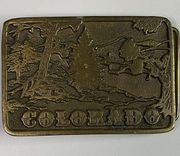 Vintage Colorado State Mountain Nature Scene Commemorative Adezy Belt Buckle