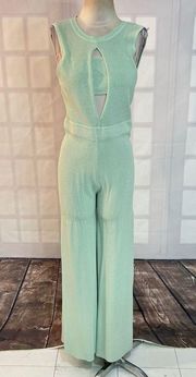 Rehab minty green knit sleeveless bandeau wide leg jumpsuit