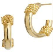 Savvy Cie Gold Plated Hoops