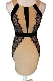 Teeze Me Tan & Black Lace Dress Size 5