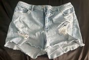 Buckle  Denim Shorts