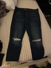 American Eagle Jeans Size 10 Short