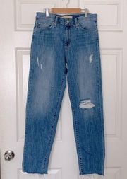 Joe’s jeans the Niki mid rise boyfriend distressed 28