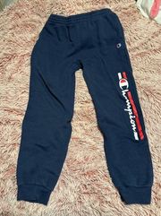 Champion sweatpants