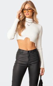 Cropped Turtle Neck Sweater