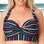 Terra & Sky rainbow stripe push up bikini top