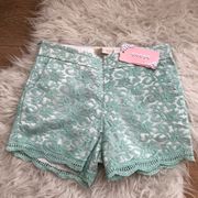 Mint embroidered high waisted shorts